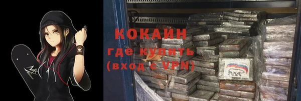 индика Краснотурьинск
