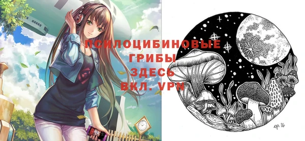 индика Краснотурьинск