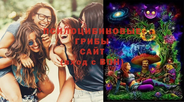 прущая мука Костерёво