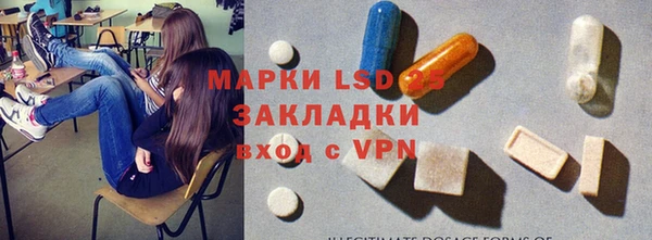 индика Краснотурьинск