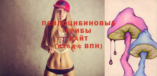 ешки Куйбышев