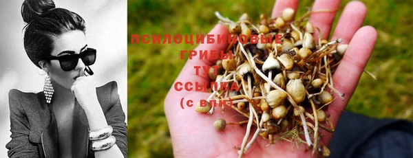 индика Краснотурьинск