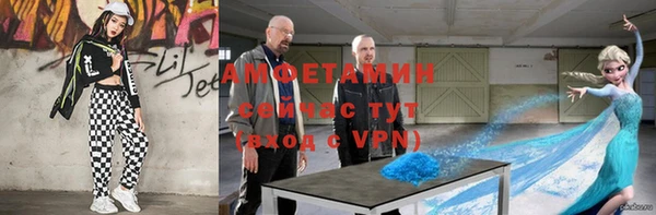 индика Краснотурьинск