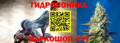 дживик Гатчина