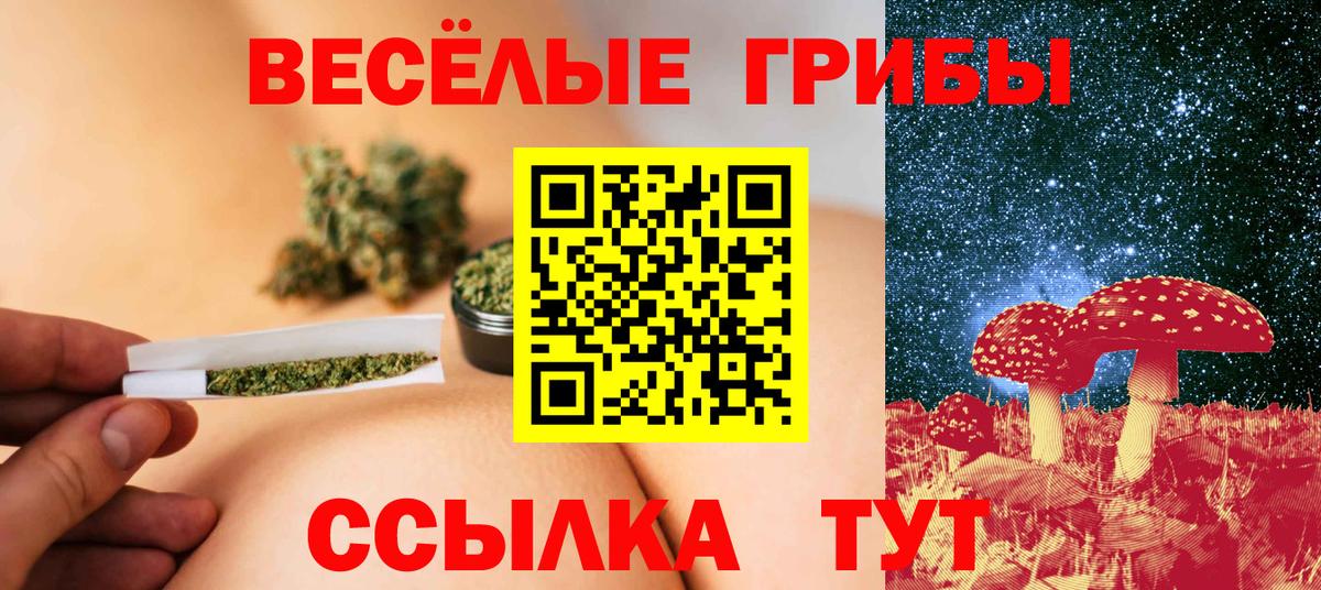 Галлюциногенные грибы Cubensis Углич