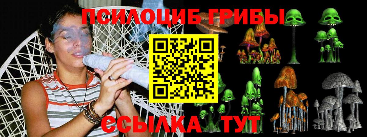 Углич  Галлюциногенные грибы мицелий  Вход с VPN 